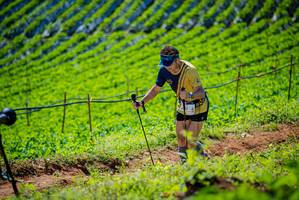 BIB: 
                            <button type="button" onclick="openModal(19162720)" class="btn btn-primary btn-sm float-right btn-popup" data-toggle="modal" data-target=".modal-high-quality">
                        <i class="fas fa-shopping-cart"></i> Add to Cart
                    </button>
                                            <button type="button" onclick="isThisMe(19162720, true)" class="btn btn-success btn-sm float-right btn-popup btn-isme hidden" data-toggle="tooltip" data-placement="bottom" title="นี่คือรูปของคุณใช่ไหม คลิกที่นี่เพื่อเอาเข้าอัลบั้ม">
                        <i class="fas fa-plus"></i> Add to album
                    </button>
                    <button type="button" onclick="isThisMe(19162720, false)" class="btn btn-warning btn-sm float-right btn-popup btn-isnotme hidden">
                        <i class="fas fa-ban"></i> Remove from album
                    </button>